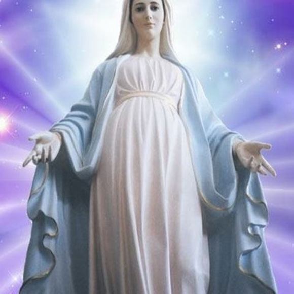 Meet your Posher, Alejandro - Picture 1 of 1